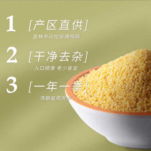 金贞熙大黄米（新鲜直供，真空包装） 商品图2