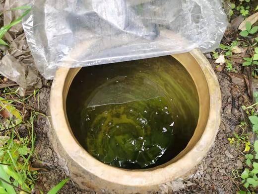 毕节黔西【协和潘戈包谷酒】5斤装 彝家老酒 地缸发酵 地窖储藏入口醇香 全国包邮（部分地区不发货） 商品图5