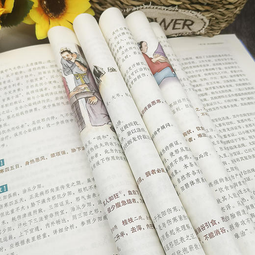 【9.9元包邮】彩色图解版 伤寒杂病论张仲景正版国学经典 中医基础理论医学书籍 中医书籍养生大全 中医临床书 国学经典 医学四大经典著作之一 商品图3