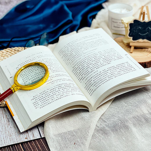 做一个专业的班主任 王晓春著 大夏书系 商品图6