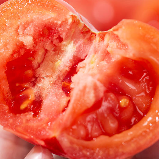 普罗旺斯西红柿番茄 5斤装 FX-A-2261-240410 商品图8