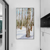多喜爱 原创高清数码布艺装饰画 白桦林cs 商品缩略图0