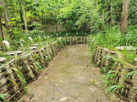 毕节黔西【协和潘戈包谷酒】5斤装 彝家老酒 地缸发酵 地窖储藏入口醇香 全国包邮（部分地区不发货） 商品图3