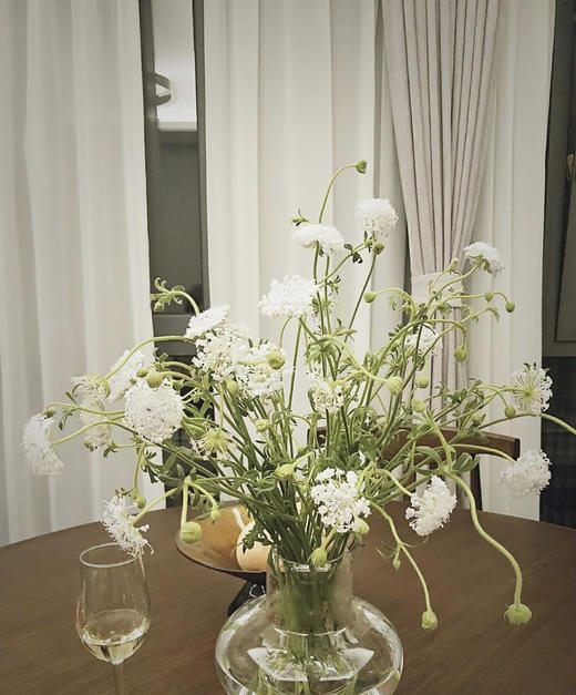 【祝你幸福】翠珠  多色可选  若干枝/扎 商品图2