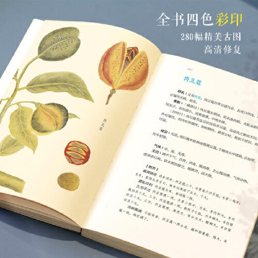 图解本草纲目（生活实用版，穿越千年的生活养生指南，丰富多彩的博物志） 商品图2