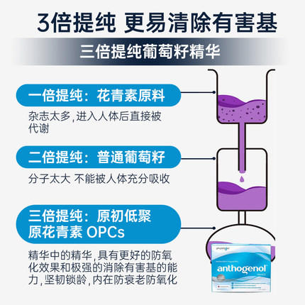Anthogenol月光宝盒葡萄籽精华胶囊礼盒装230粒 商品图4