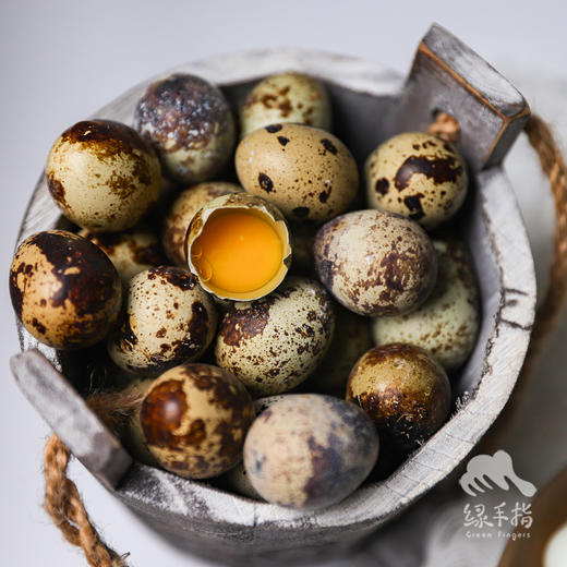 生态鹌鹑蛋| 绿家自产* Eco- quail egg | Self-production 商品图3