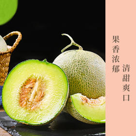 网纹蜜瓜  瓜肉细腻鲜甜，入口纤维比较少，口感鲜爽， 水分饱满，甜分充足！皮特薄，瓜籽很少