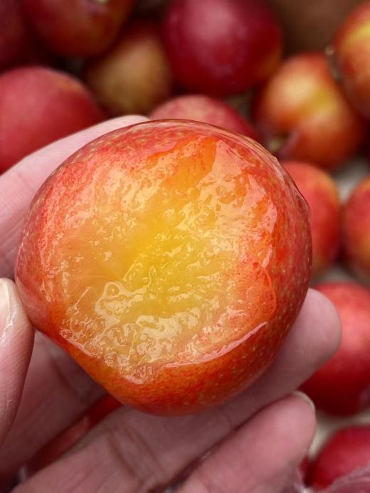 周四取货：【大G 樱桃李5J】一盒400克左右，颗粒饱满，酸酸甜甜，美味可口！ 商品图0