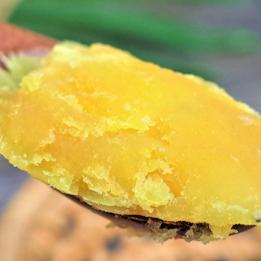 天目山地瓜小香薯丨糖心软糯 细腻少筋 入口香甜 老少咸宜 回忆小时候的老味道 商品图2