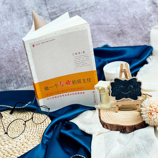做一个专业的班主任 王晓春著 大夏书系 商品图1