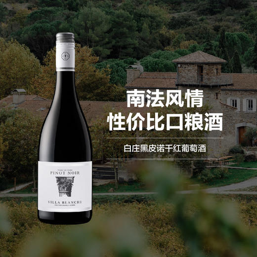 南法新星 卡莫乔森白庄黑皮诺干红葡萄酒 2020 Calmel  Joseph Villa Blanche Pinot Noir 商品图0