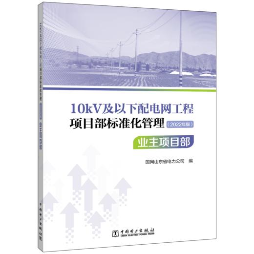 10kV及以下配电网工程项目部标准化管理（2022年版） 业主项目部 商品图0