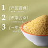 金贞熙黄小米（新鲜直供，真空包装） 商品缩略图2