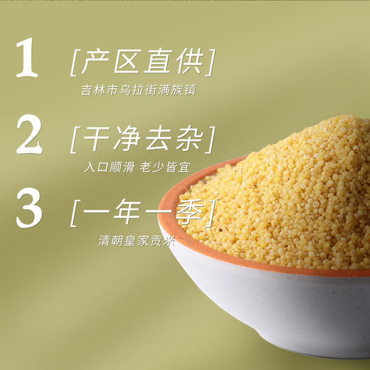 金贞熙黄小米（新鲜直供，真空包装） 商品图2