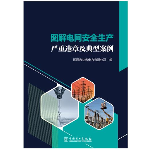 图解电网安全生产严重违章及典型案例 商品图1