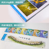 少年中国地理（全七册）宝藏级中国地理全书  商品缩略图7