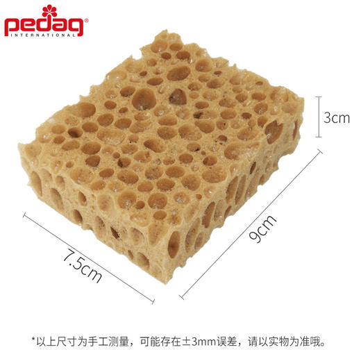 德国pedag清洁海绵刷芝士型813 商品图1