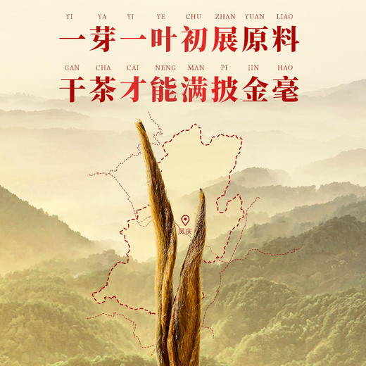凤牌金针滇红工夫红茶60g/罐 商品图1