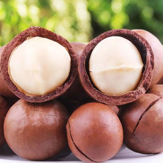 【塔玛庄园】山地夏威夷果190g   天然无添加 颗粒饱满 口感酥脆 商品图2