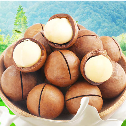 【塔玛庄园】山地夏威夷果190g   天然无添加 颗粒饱满 口感酥脆 商品图3