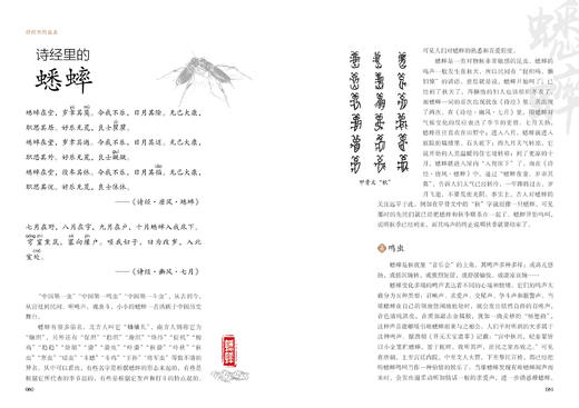诗经里的昆虫978-7-5219-1767-3 商品图4