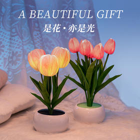 郁金香氛围灯