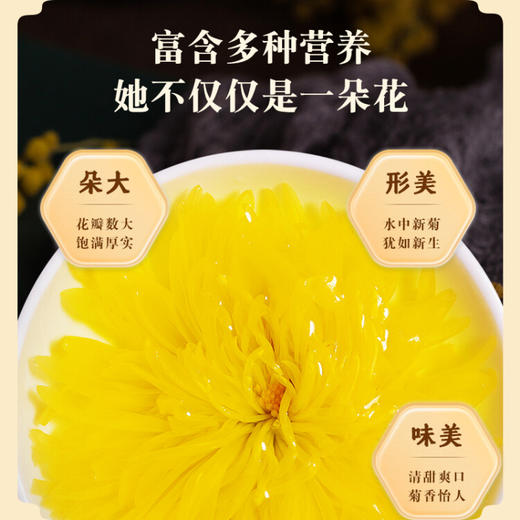 同仁堂（TRT）金丝皇菊花茶 一朵一杯大朵菊花特级养生茶泡水喝的花草茶叶30g 商品图1