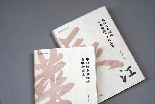 大学问    华北的小农经济与社会变迁+长江三角洲的小农家庭与乡村   费正清奖、列文森奖得主黄宗智成名之作 商品图4