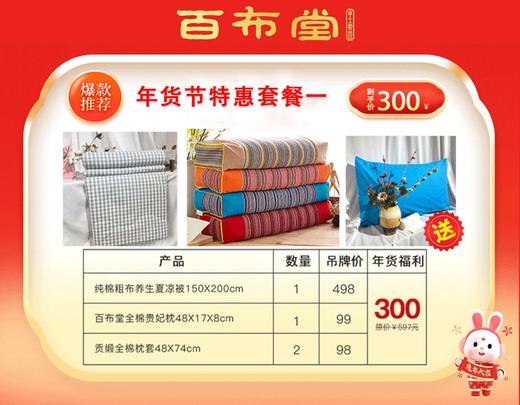 （乡村振兴商品）百布堂福利专区300元套装一 商品图0