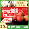 预售【功夫苹果】等了六年才能吃到的苹果！果香四溢，爆甜爽脆！对标日本青森苹果种植！品味高端美味水果，生活就要与众不同！丁苹果 商品缩略图4