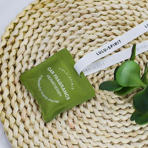 璐璐馨-绿意车载香薰包 商品图3