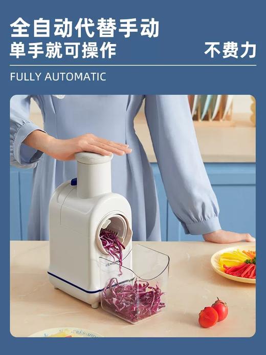 蓝宝电动切菜机多功能厨房家用刨丝切片切丝神器土豆丝擦丝器 商品图1