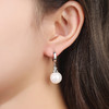 SWZH-EH725新款复古花朵耳环时尚镶钻花瓣珍珠耳坠长款时尚通勤耳饰 商品缩略图3