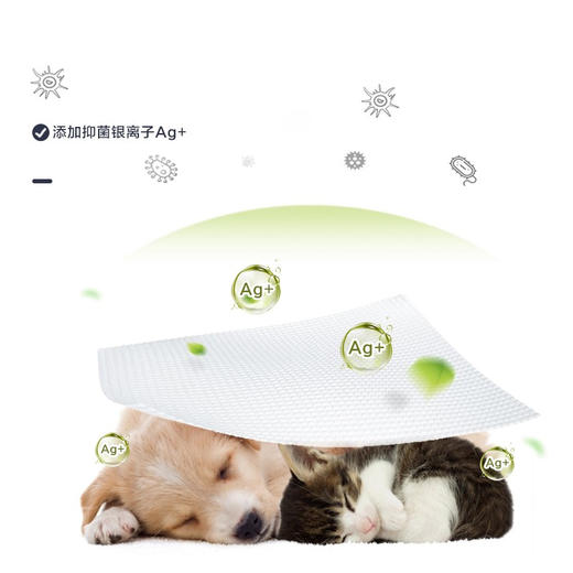 KOJIMA宠物通用湿巾80片*3 商品图4