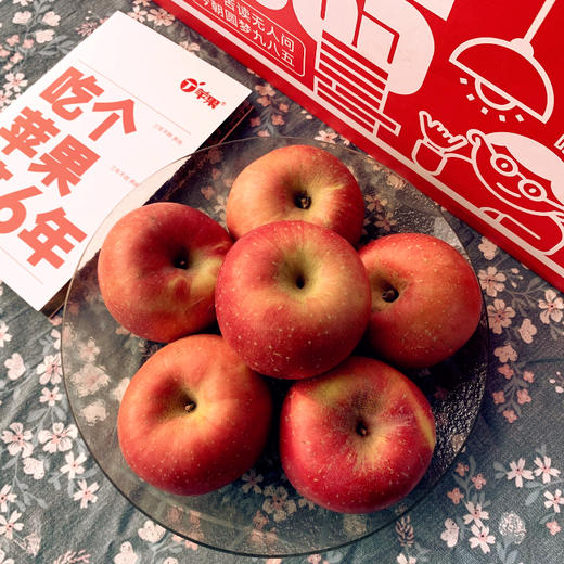 预售【功夫苹果】等了六年才能吃到的苹果！果香四溢，爆甜爽脆！对标日本青森苹果种植！品味高端美味水果，生活就要与众不同！丁苹果 商品图9