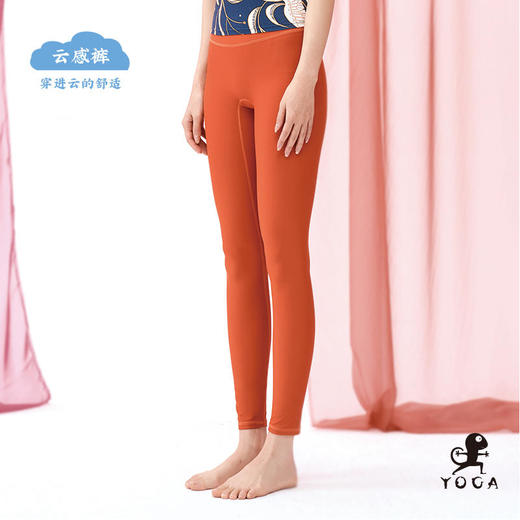 壁虎瑜伽【云感裤】超高弹纯色瑜伽裤【2月20日发货】 商品图7