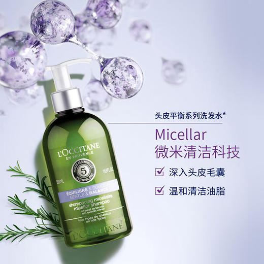 法国欧舒丹5合1草本菁纯平衡洗发露500ml 深入头皮毛囊温和清洁油脂117684 商品图2