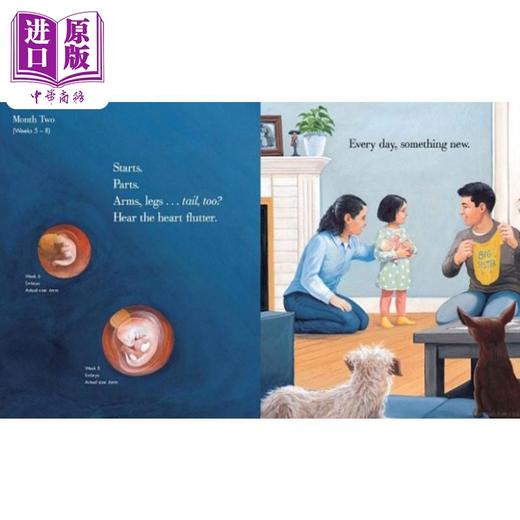【中商原版】Jason Chin Nine Months Before a Baby Is Born 宝宝出生之前 英文原版 进口图书 儿童绘本 新生儿科普图画书 商品图2