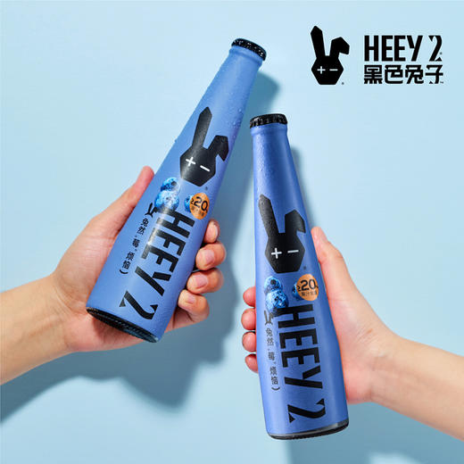 Reberg莱宝精酿啤酒 蓝莓味307ml*4瓶啤酒果味啤酒新品 商品图3