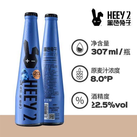 Reberg莱宝精酿啤酒 蓝莓味307ml*4瓶啤酒果味啤酒新品 商品图5