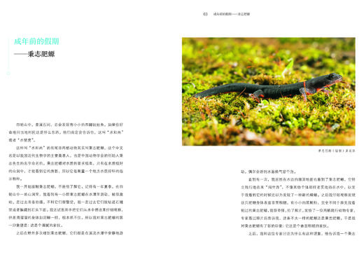 探秘两栖爬行动物 978-7-5219-1766-6 商品图6