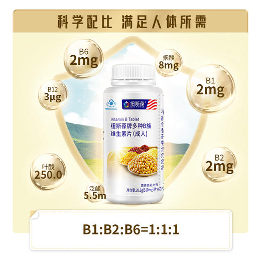 纽斯葆牌多种B族维生素片 一片含7种维生素B  30.6g（510mg/片*60片） 商品图1