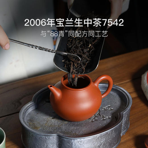 2006年宝兰生中茶7542丨88青同配方同工艺 商品图1