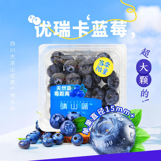 【4月3日客服中心自提】蓝莓大果装 优瑞卡15-18mm 三盒/五盒装 商品图0