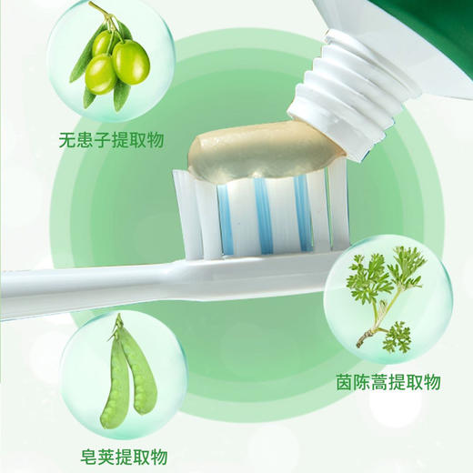 英贝健植物牙膏  100g*5支 商品图1