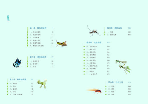 昆虫的智慧978-7-5219-1887-8 商品图1
