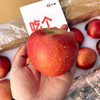 预售【功夫苹果】等了六年才能吃到的苹果！果香四溢，爆甜爽脆！对标日本青森苹果种植！品味高端美味水果，生活就要与众不同！丁苹果 商品缩略图11