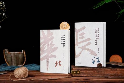大学问    华北的小农经济与社会变迁+长江三角洲的小农家庭与乡村   费正清奖、列文森奖得主黄宗智成名之作 商品图3