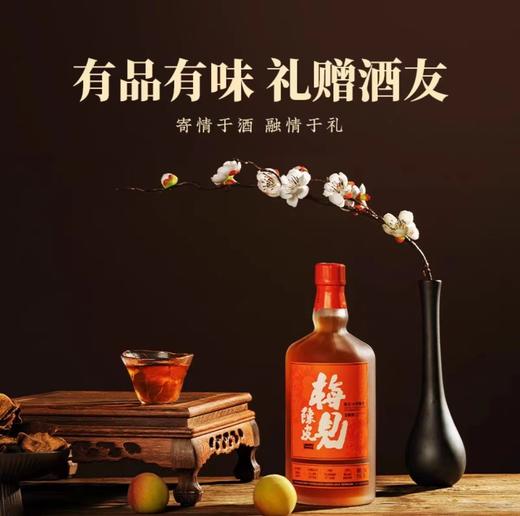 15度梅见10年陈皮梅酒750ML 商品图0